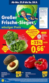 Paprika im Lidl Prospekt in Elmshorn Aktueller Lidl Prospekt mit Paprika, "LIDL LOHNT SICH", Seite 2
