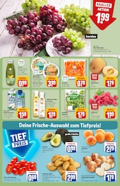 Salat im REWE Prospekt in Heidelberg Aktueller REWE Prospekt mit Salat, "Dein Markt", Seite 8