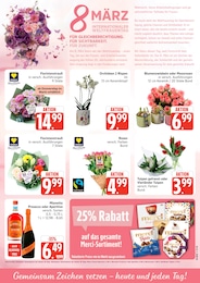 Marktkauf Pflanzen im Prospekt 