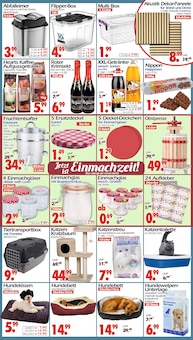 Sekt im Wreesmann Prospekt "DEIN SAISON- & SONDERPOSTENMARKT!" mit 8 Seiten (Bremerhaven)