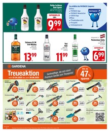 EDEKA Whiskey im Prospekt EDEKA Whiskey im Prospekt