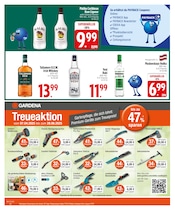 Aktueller EDEKA Prospekt mit Rum, "Auf die °Punkte, fertig, los!", Seite 22