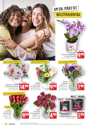 Pflanzen im E center Prospekt in Göppingen Aktueller E center Prospekt mit Pflanzen, "Aktuelle Angebote", Seite 6