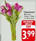 Tulpenstrauß XL im aktuellen Prospekt bei EDEKA in Freiamt