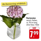 Hortensien im Angebot bei E center in Rottenburg Hortensien Angebote bei E center Rottenburg für 7,99 €