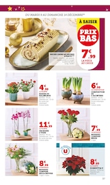 Plantes Angebote im Prospekt "U Express" von U Express auf Seite 37