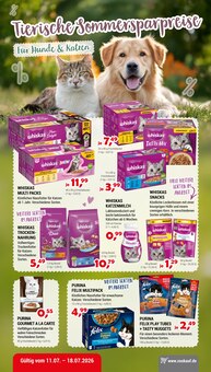 Katzenfutter im aktuellen Zookauf Prospekt (Neuss) Katzenfutter im Zookauf Prospekt "TIERISCHE SOMMERSPARPREISE" mit 2 Seiten (Neuss)