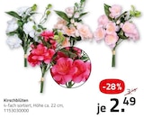 Kirschblüten im aktuellen ROLLER Prospekt für 2,49 €