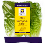 Mini Romanasalat bei EDEKA im Prospekt "" für 0,66 €