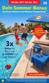Reis im Lidl Prospekt in Gera Aktueller Lidl Prospekt mit Reis, "LIDL LOHNT SICH", Seite 66