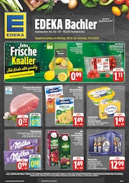 Supermarkt Prospekt von EDEKA Helmbrechts EDEKA Prospekt: "Wir lieben Lebensmittel!", 28 Seiten, 08.12.2025 - 13.12.2025