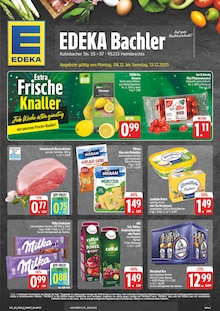 EDEKA Prospekt der Woche "Wir lieben Lebensmittel!" Seite 1, 08.12.2025 bis 13.12.2025 für Helmbrechts Aktueller EDEKA Prospekt "Wir lieben Lebensmittel!" Seite 1 von 28 Seiten für Helmbrechts