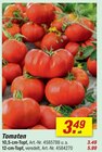 Tomaten 10,5-cm-Topf bei toom Baumarkt im Rheinfelden Prospekt für 3,49 €