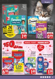 Aktueller EDEKA Prospekt mit Tierbedarf, "Aktuelle Angebote", Seite 21