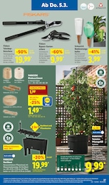 Gartenschere Angebot im aktuellen Lidl Prospekt auf Seite 41