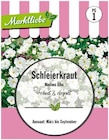 Schleierkraut Maxima Alba Angebote von Marktliebe bei Penny Potsdam für 0,19 €
