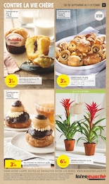 Offre Plantes dans le catalogue Intermarché du moment à la page 17