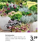BayWa Bau- und Gartenmärkte - Herbstzauber Angebot im Prospekt Herbstzauber bei BayWa Bau- und Gartenmärkte im Prospekt "" für 3,29 €