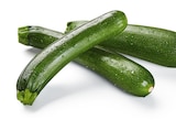 Zucchini Angebote von Bio bei Lidl Wuppertal für 1,99 €