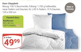 Aktuelles Karo-Steppbett Angebot bei GLOBUS in Rostock ab 9,99 €