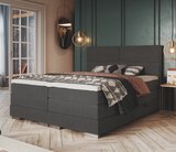 Aktuelle Bett Angebote bei Die Möbelfundgrube in Trier Aktuelles Boxspringbett Mandewilla Angebot bei Die Möbelfundgrube in Trier ab 999,99 €