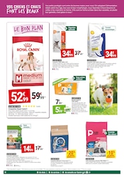 Croquettes Chien Angebote im Prospekt "JARDIN D'AUTOMNE" von Gamm vert Croquettes Chien Angebote im Prospekt "JARDIN D'AUTOMNE" von Gamm vert auf Seite 10