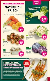 Aktueller WOHL:KOST Prospekt mit Gemüse, "Bio Markt", Seite 2