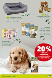 Hundebett Angebot im aktuellen Pflanzen Kölle Prospekt auf Seite 2