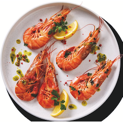 Argentinische Rotgarnelen