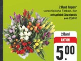 2 Bund Tulpen bei EDEKA im Schleusingen Prospekt für 5,00 €