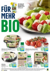 Aktueller EDEKA Prospekt mit Tomaten, "Aktuelle Angebote", Seite 16