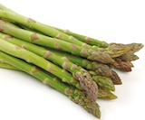 Spargel grün im Angebot bei Netto mit dem Scottie in Stralsund Spargel grün Angebote bei Netto mit dem Scottie Stralsund für 3,79 €