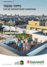 Delmes Bauwelt Prospekt für Jersbek: "Trend-Tipps FÜR DIE ENERGETISCHE SANIERUNG", 11 Seiten, 18.07.2025 - 27.07.2025