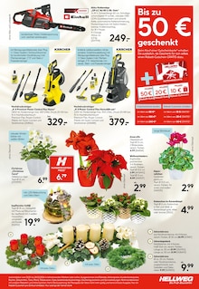 Blumen im Hellweg Prospekt "Die Profi-Baumärkte" mit 24 Seiten (Dortmund)