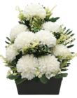 Jardinière 9 chrysanthèmes en promo chez Maxi Bazar Paris à 19,99 €