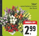 Tulpen Angebote bei EDEKA Plauen für 2,99 €