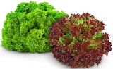 Aktuelles Bunte Salate Angebot bei REWE in Stuttgart ab 0,99 €