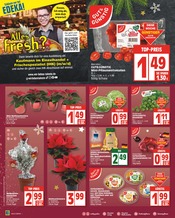 Bio Angebote im Prospekt "Aktuelle Angebote" von EDEKA Bio Angebote im Prospekt "Aktuelle Angebote" von EDEKA auf Seite 2