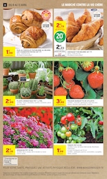Offre Fraisier dans le catalogue Intermarché Super du moment à la page 10