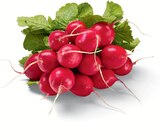 Radieschen von Heimat im aktuellen Netto Marken-Discount Prospekt für 0,49 €