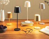 Akku-Tischleuchte Kaami im aktuellen Segmüller Prospekt