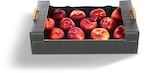 Aktuelle Obst Angebote bei Netto Marken-Discount in Dortmund Aktuelles Nektarinen Angebot bei Netto Marken-Discount in Dortmund ab 3,99 €