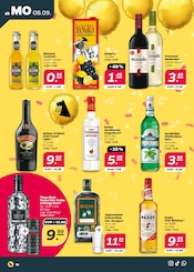 Cocktail im Netto mit dem Scottie Prospekt in Kiel Aktueller Netto mit dem Scottie Prospekt mit Cocktail, "Günstig. Besser. Für Dich.", Seite 16