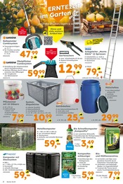 Aktueller Globus-Baumarkt Prospekt mit Bio, "Immer eine Idee besser", Seite 2