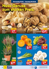 Ähnliche Balkonpflanzen Angebote im Prospekt "Aktuelle Angebote" von Netto Marken-Discount in Filderstadt Ähnliche Angebote wie Balkonpflanzen im Prospekt "Aktuelle Angebote" auf Seite 46 von Netto Marken-Discount in Filderstadt
