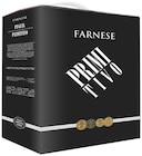 Fantini Primitivo Puglia IGP von  im aktuellen METRO Prospekt für 29,74 €