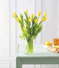 Bouquet de 9 tulipes de glace - U en promo chez Super U Bouquet de 9 tulipes de glace - U dans le catalogue Super U