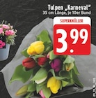 Tulpen "Karneval" Angebote bei E center Haltern am See für 3,99 €