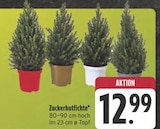 Aktuelles Zuckerhutfichte Angebot bei E center in Nürnberg ab 12,99 €
