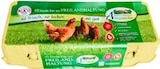 Aktuelle Eier Angebote bei Kaufland in Magdeburg Aktuelles Frische Eier Angebot bei Kaufland in Magdeburg ab 3,39 €